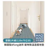 ✨現貨✨台灣代理 韓國製DFANG迪邦 寵物降溫遊戲地墊 寵物地墊 遊戲地墊 「好好購物」