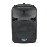 SAROD15: Passvie 400 Watt RMS 15" 2 Way Speaker