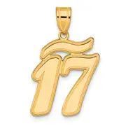 14k Yellow Gold Brushed Border Script Number 17 Pendant