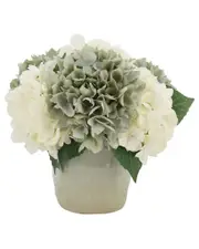 Creative Displays And Hydrangeas in Ceramic Vase