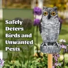 Scare Birds Away Owl Decoy Plastic Pest Control New Birds Away