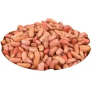 Aiva Light Red Kidney Beans