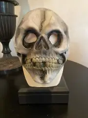 Skeleton Mask with Adjustable Strap. Soft Rubber. Adult Large.