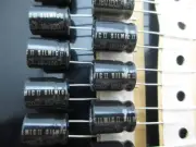 JAPAN 10PCS Elna Rfs silmic II 100uf 16V 100mfd audio Capacitor New HiFi 2014