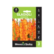 Bloomin' Bulbs Gladioli Orange Bulbs - 3 Pack