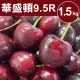 【甜露露】華盛頓9.5R櫻桃1.5kgx1盒(1.5kg±10%/盒)