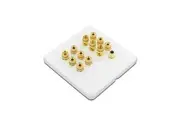 Selby 6.1 Speaker Cable Wall Plate Premium Pre-Assembled Wallplate