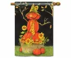 Mr. Scarecrow Standard Flag 28 x 40