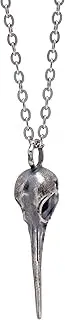 [Paialco] Gothic Sterling Silver Bird Head Skull Skeleton Charm Pendant for Men Women Halloween, Sterling Silver, No Gemstone