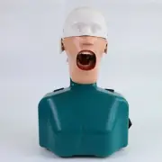 1pcs Dental Senior Phantom Head Mannequin With Torso for dental education