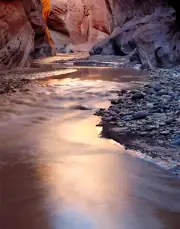William Neill Reflections, Paria River, Vermillion Cliffs, Utah