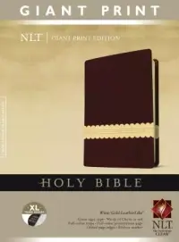 在飛比找博客來優惠-Holy Bible: New Living Transla