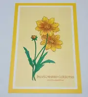 Regent Get Well Card “Rapid Return To Good Health” Big Flowered Coreopsis P4