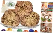13Pcs Rose of Jericho & Healing Crystals Set - Rosa de Jerico Original Gift