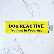 Lead Sleeve for Reactive, Anxious, Nervous or Rescue Dogs - Puppy and Dog in Training Leash Sleeve - Dog Lead Wrap (Dog Reactive Training in Progress)