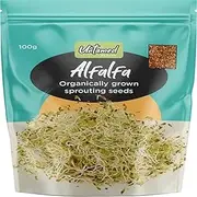 Untamed Health Earth Friendly Gluten-Free Alfalfa Sprouting Seeds 100 g