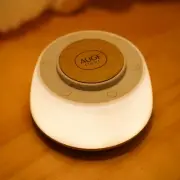 4-in 1 White Noise Sound Machine with Night Lights 30 Soothing Sounds