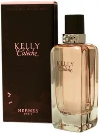 在飛比找Yahoo!奇摩拍賣優惠-【現貨】Hermes Kelly Caleche 凱莉 驛馬