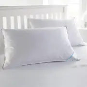 Feather Pillow, Standard (Pack of 2), White 2 Count