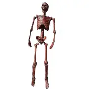 Halloween Mummification Skeleton Life-Size Decoration