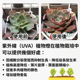 【JIUNPEY 君沛】2入組 T8 2呎12.5W紫外線UV全光譜植物燈管(植物生長燈)