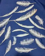 12ct WHITE Feathers Variety Natural Shed Decor Smudging Craft Jewelry Lures HTF