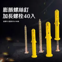 在飛比找momo購物網優惠-【小黃魚】膨脹螺絲釘加長螺栓40入(M6x30mm 鍍鋅 膨