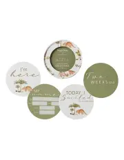 [Snuggle Hunny] Dino & Dewkist Reversible Milestone Cards in Green