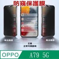 在飛比找PChome24h購物優惠-^防窺磨砂款^ OPPO A79 5G 柔韌防爆滿版螢幕保護