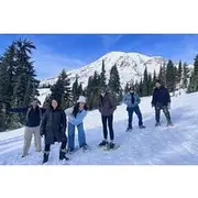 Save 10.00%! Mt. Rainier National Park Day Tour from Seattle