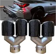 1 Piece Dual Exhaust Tip Carbon Fiber Muffler Tip Y Shape TailTip Automotive Exhaust System(Right in60-out101mm)