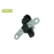 RAE Crankshaft Position Sensor - SC491