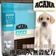 此商品48小時內快速出貨》(送購物金400)ACANA》挑嘴幼犬無穀配方(放養雞肉+新鮮蔬果)全新6kg(蝦)