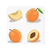 Fruit Slice Face Towel, Cute Peach Design, Kitchen Towel, Gift for Fruit Lovers,