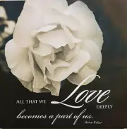 Camelia Flower Canvas Decorative Picture With Helen Keller Quote