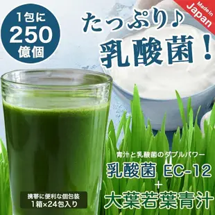 日本製 酵素 保健酵素 青汁 食物纖維 大麥若葉 乳酸菌 植物性 天然蔬果酵素 82種蔬菜 酵素青汁 J00014201