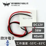 ※ 欣洋電子 ※ 莆洋 40X40 DC12V 58W 半導體致冷晶片 TEC1-12706 (1504D) 電子 電工 電子材料