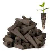 Indoor Hydroponic Supplemental Herb Seedling Pot Kit For Root Growing & Germination With Sponge & Labels - 50 Sets Brown