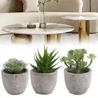 Living Space Decoration Artificial Succulents Soft PVC Material Indoor Plants
