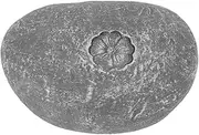 Pet Memorial Garden Stone DIY Lettering Simulation Pebbles Pet Grave Marker for Dogs Cats (Small Flower Stone Grey)