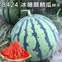 在飛比找蝦皮購物優惠-現貨、種子 8424麒麟西瓜種子超甜四季高產巨大早熟少籽水果