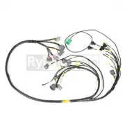 Rywire For RY-H1-MILSPEC Honda F/H-Series Mil-Spec Engine Harness