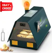 Premium Egg Incubator Automatic 10 Eggs Hatcher Temperature Control Green