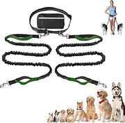 Upliftjoys Hands-Free Dog Leash,5.5 Ft Upliftjoys Dog Leash with Zipper Pouch,Retractable Hands Free Dog Leash with Zipper Pouch,for Dogs Walking (Green,Double Rope)