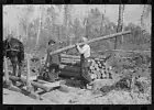 Photo:Lumberjack carrying a log at camp near Effie, Minnesota