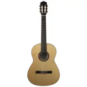 Kremona Rosa Diva Solid Spruce & Silver Oak Guitar with Case