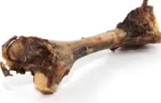 Kangaroo Bones x 20 Dog Treats, Dehydrated - BULK BUY - Free Post AUST WIDE