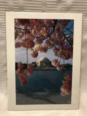Fred J. Maroon-The Jefferson Memorial: Springtime-Photograph Print (9x12)NIP