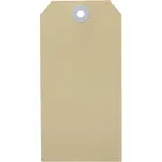 Avery 15100 Shipping Tag Size 5 120x60mm Buff Box 100