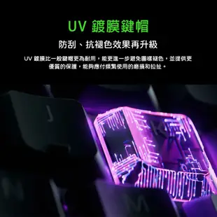 Razer ORNATA V3 X 雨林狼蛛鍵盤 靜音薄膜按鍵軸/防潑水/人體工學護腕墊